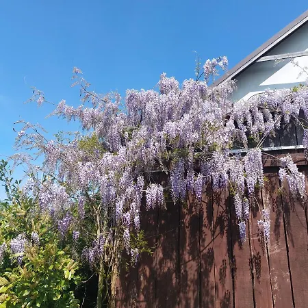 Πανσιόν Spokojny Zakatek Mikoszewo
