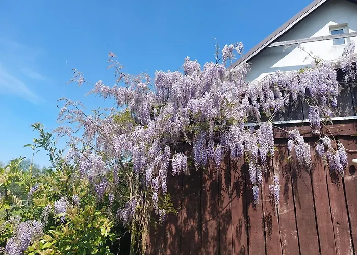 Vendégház Spokojny Zakatek Mikoszewo